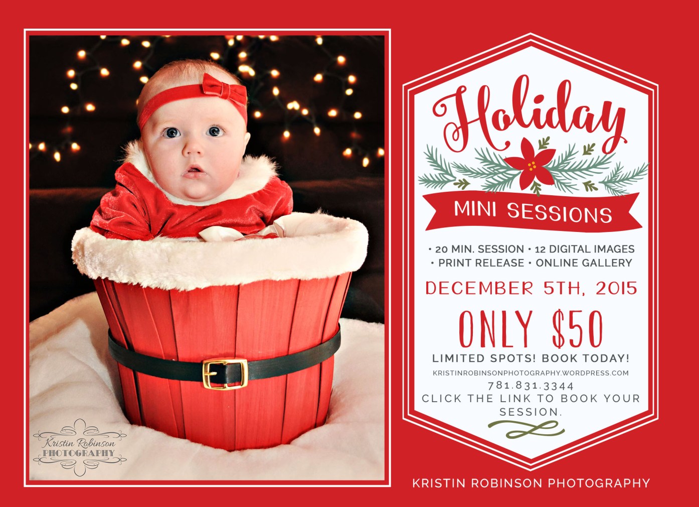 holiday mini sessions with online payments option