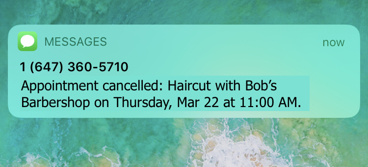 appointment cancelled text reminder