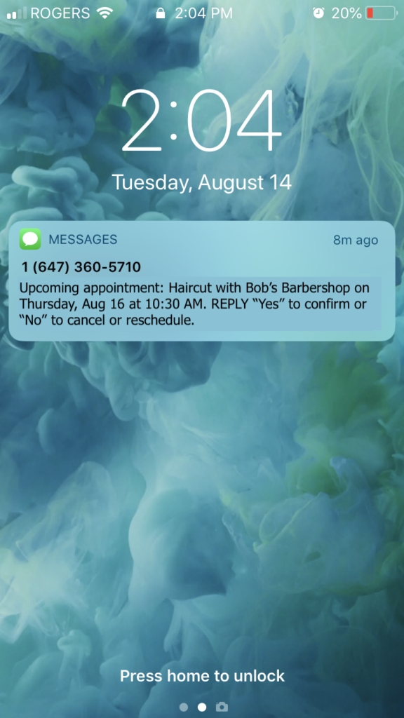 automatic appointment text message reminders
