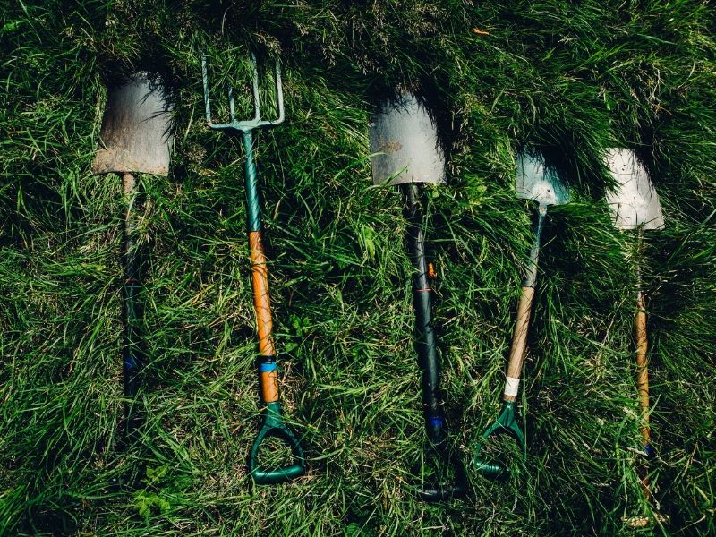 various shovels for digging laying on the grass
