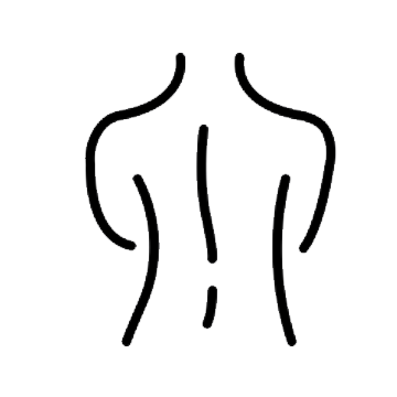 Chiropractic
